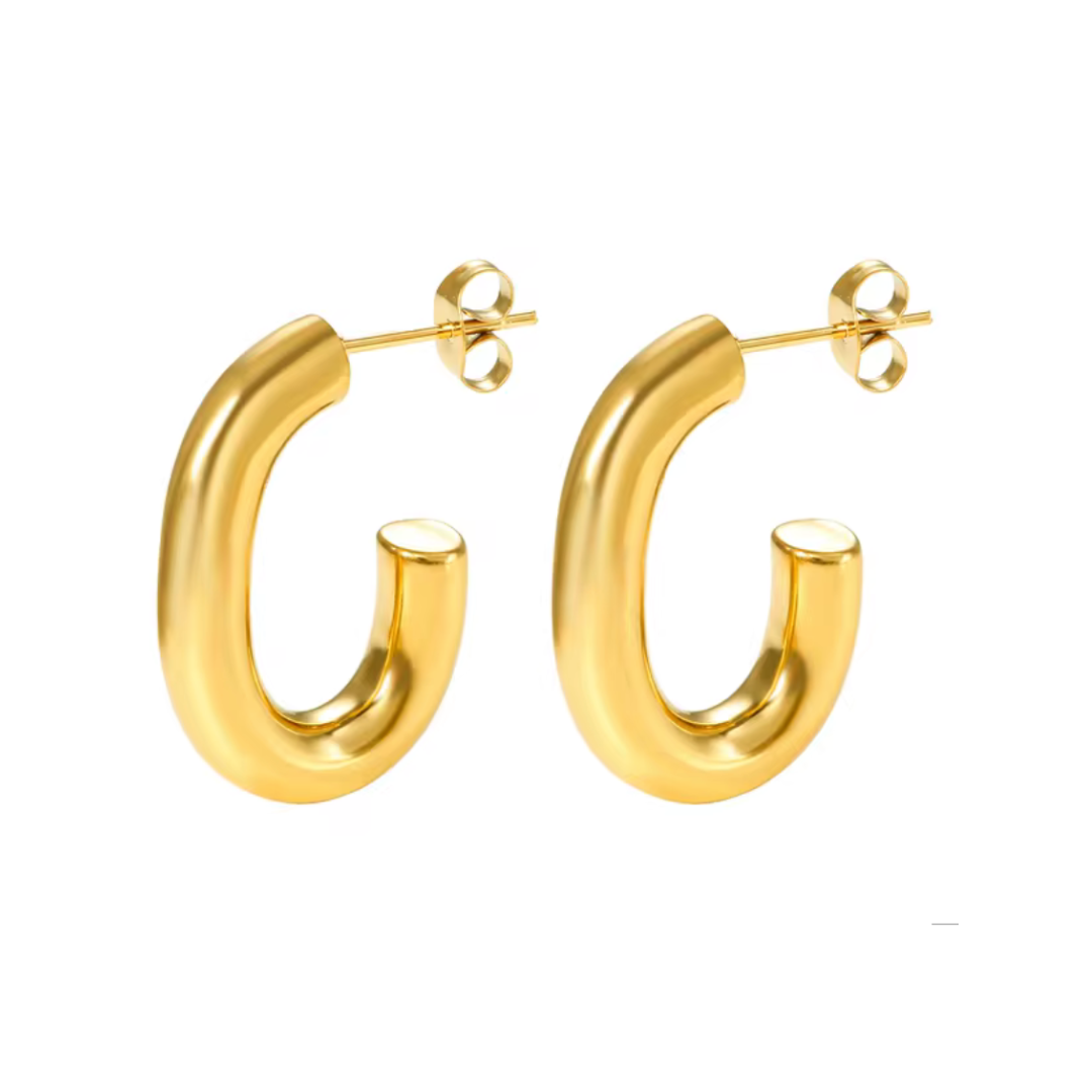 Aretes Mía